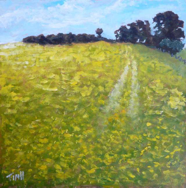 Field of buttercups by tim hyde 1