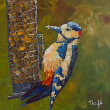 Woodpecker 1
