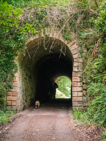 Mulgrave castle 1