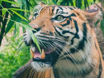 Rome zoo bioparco 3